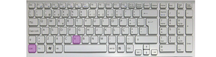 ctrl-v