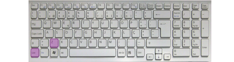 ctrl-z