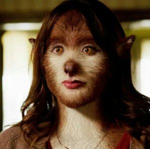 FUCHSBAU